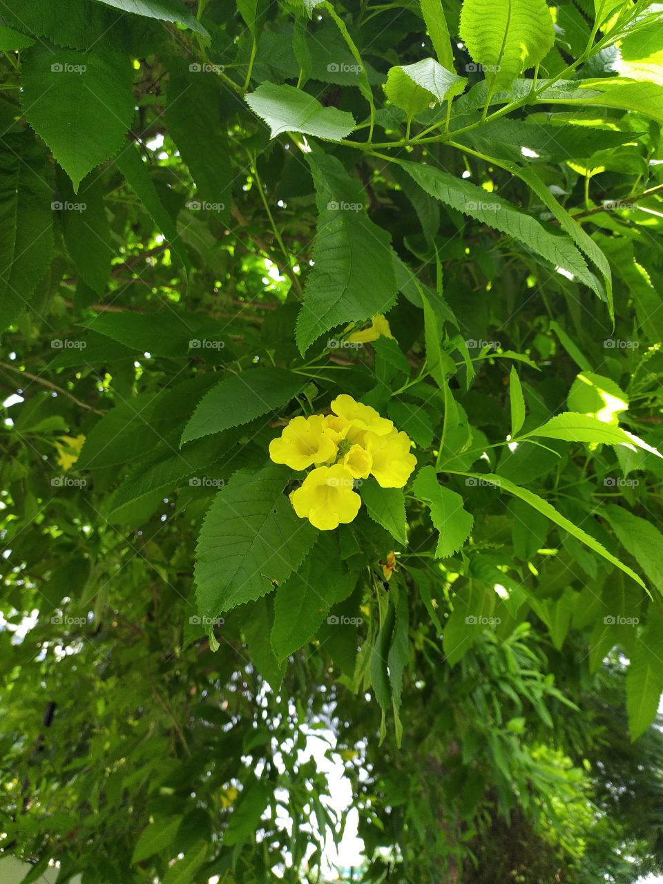 Nature at its best before the fading season takes complete hold