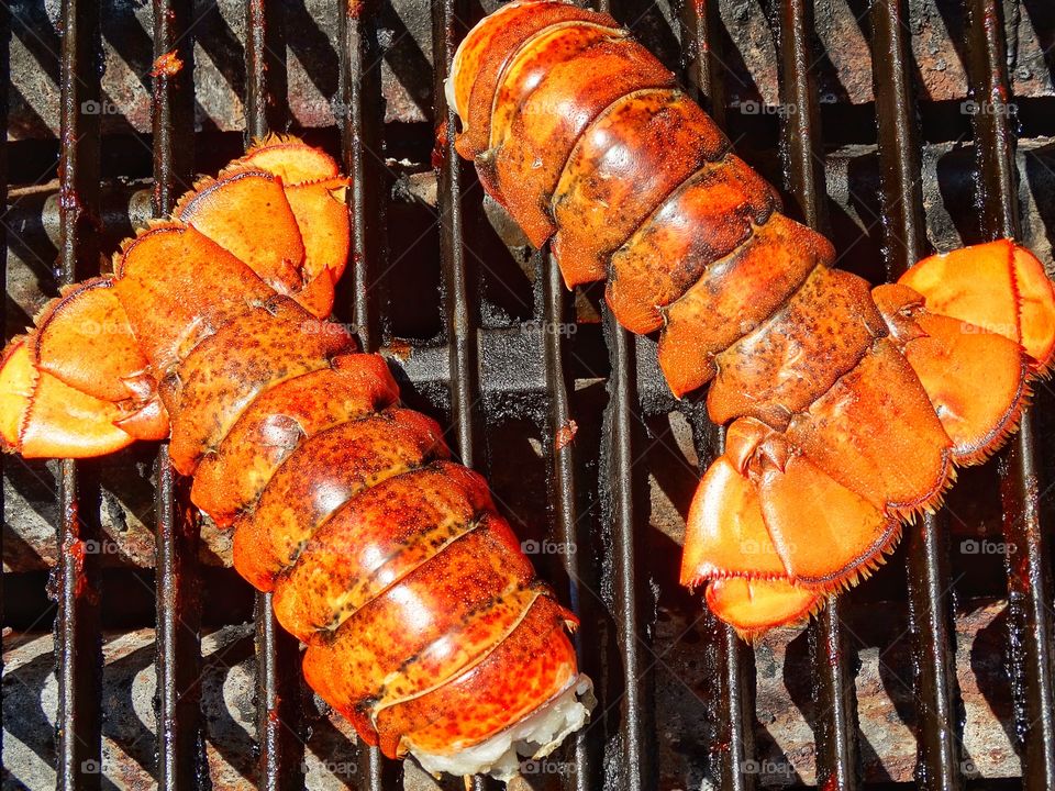 High angle view of grilled lobster