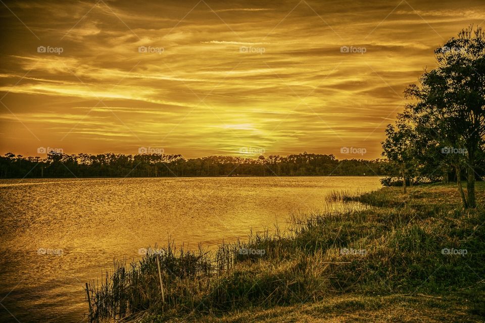 Golden sunset on the water. 