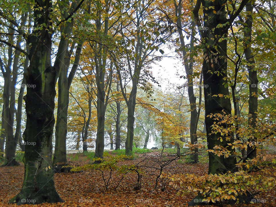 Pildammsparken Malmö Sweden