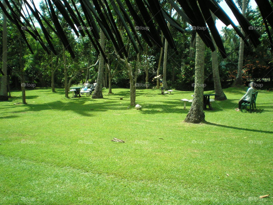 park at Villa Escudero . sculpture garden at Villa Escudero 
