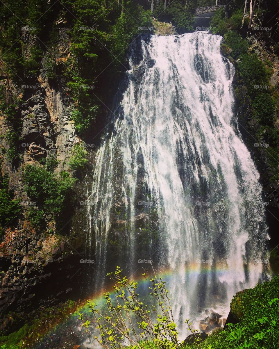 Narada Falls at Mt Rainier National Park 