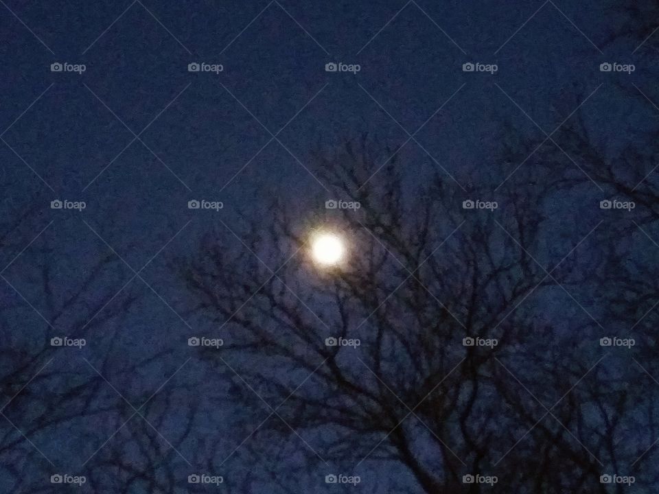 waxing moon in winter