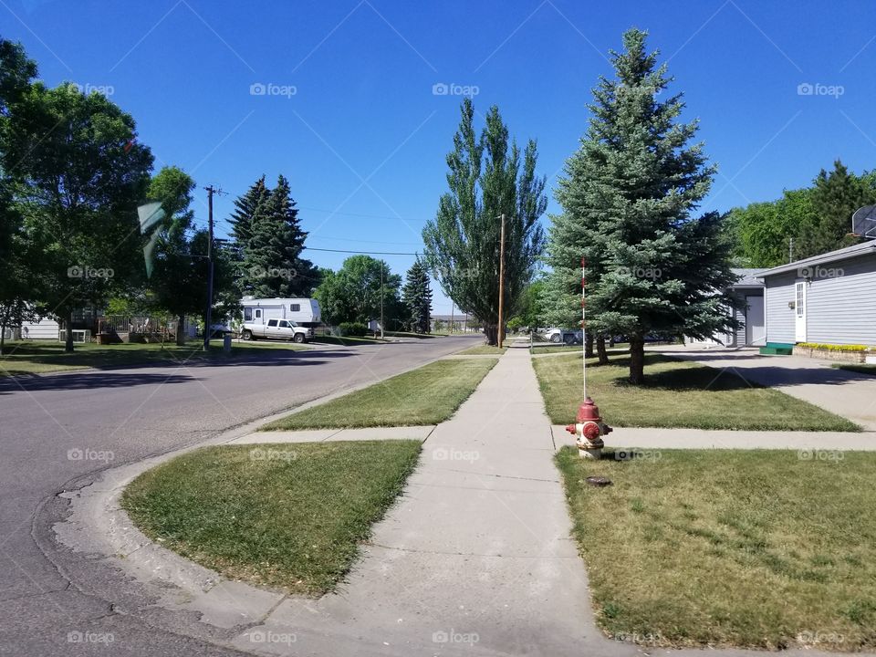 Road, Guidance, Tree, No Person, Grass