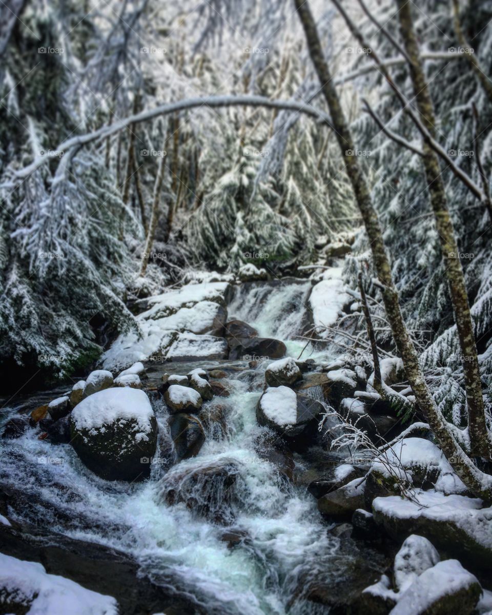 Snowy falls, Snoqualmie National Forest, Washington