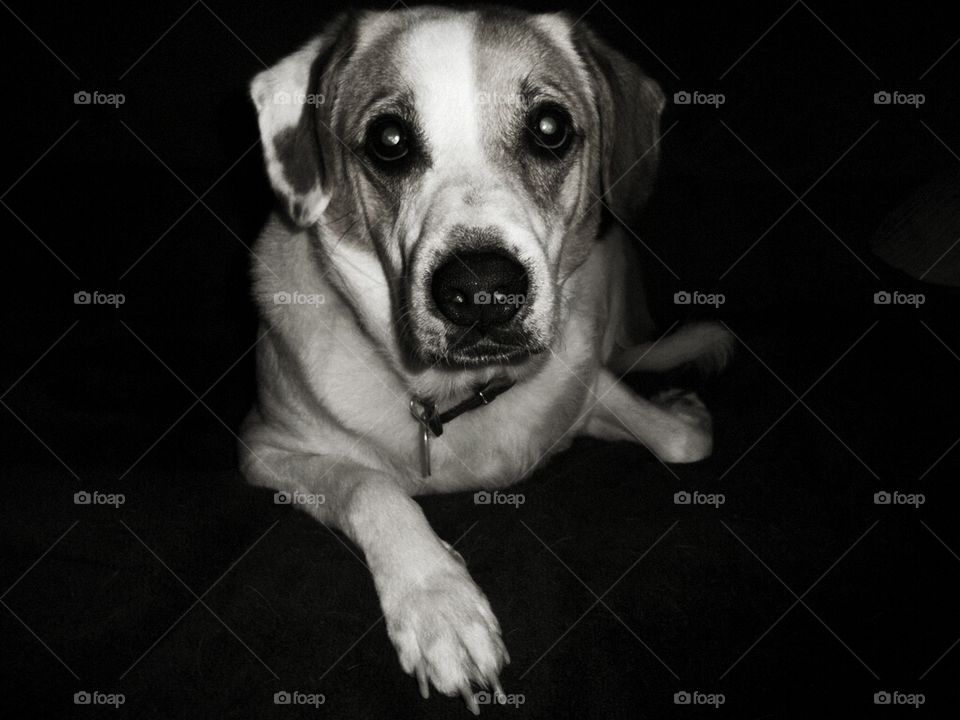 Promise, it's the last one buddy.