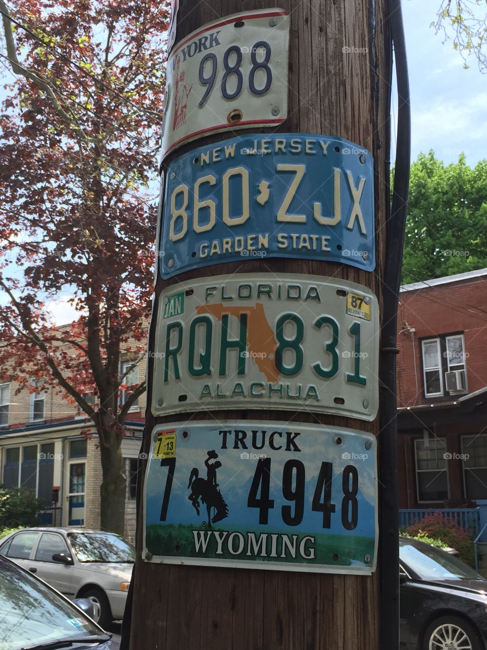 License plates on light pole 