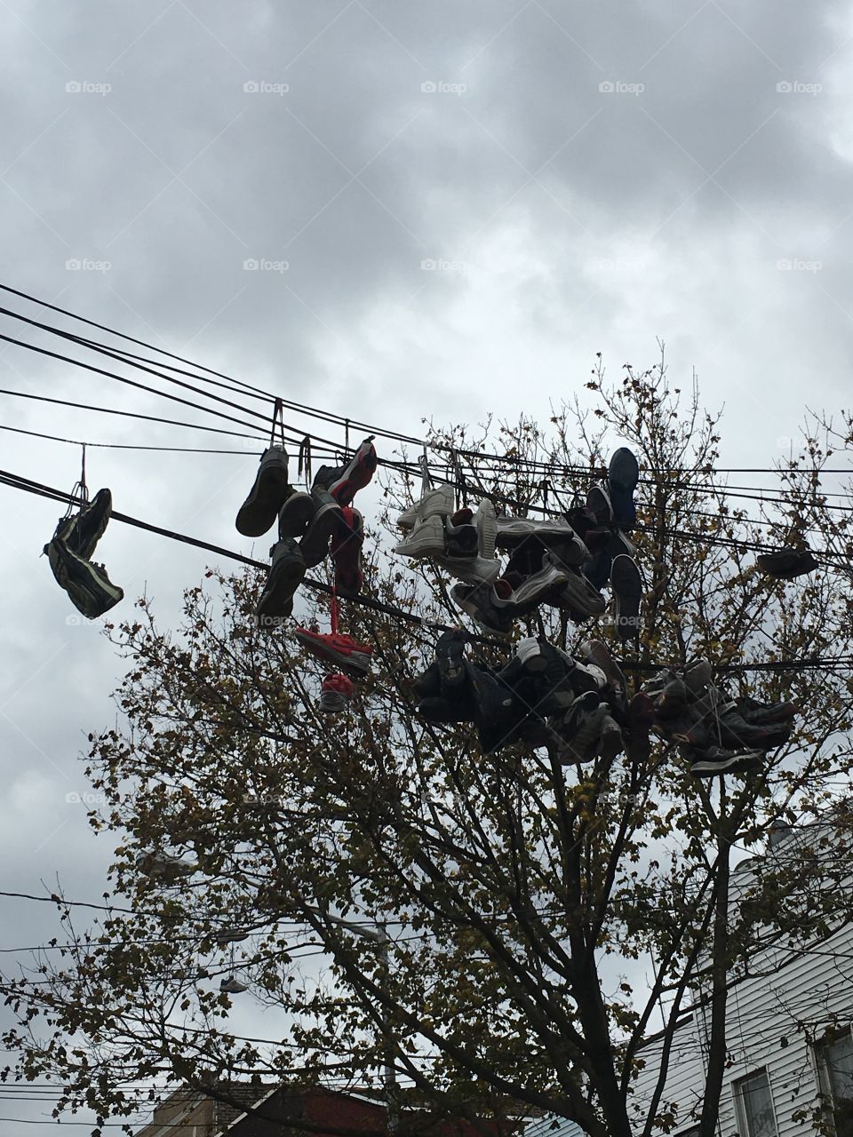 Sneakers on telephone wires... Bushwick! Brooklyn! 