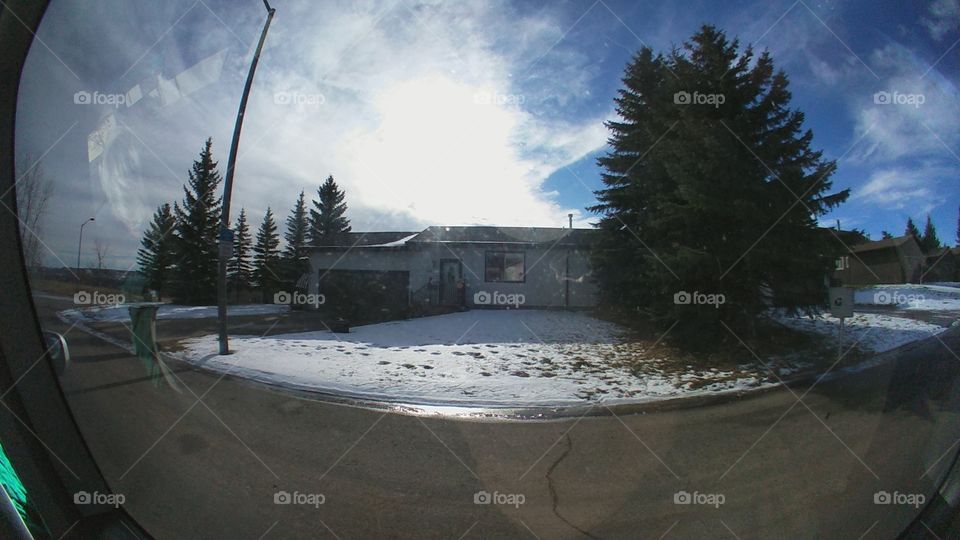 Snow, Tree, Winter, Landscape, Water