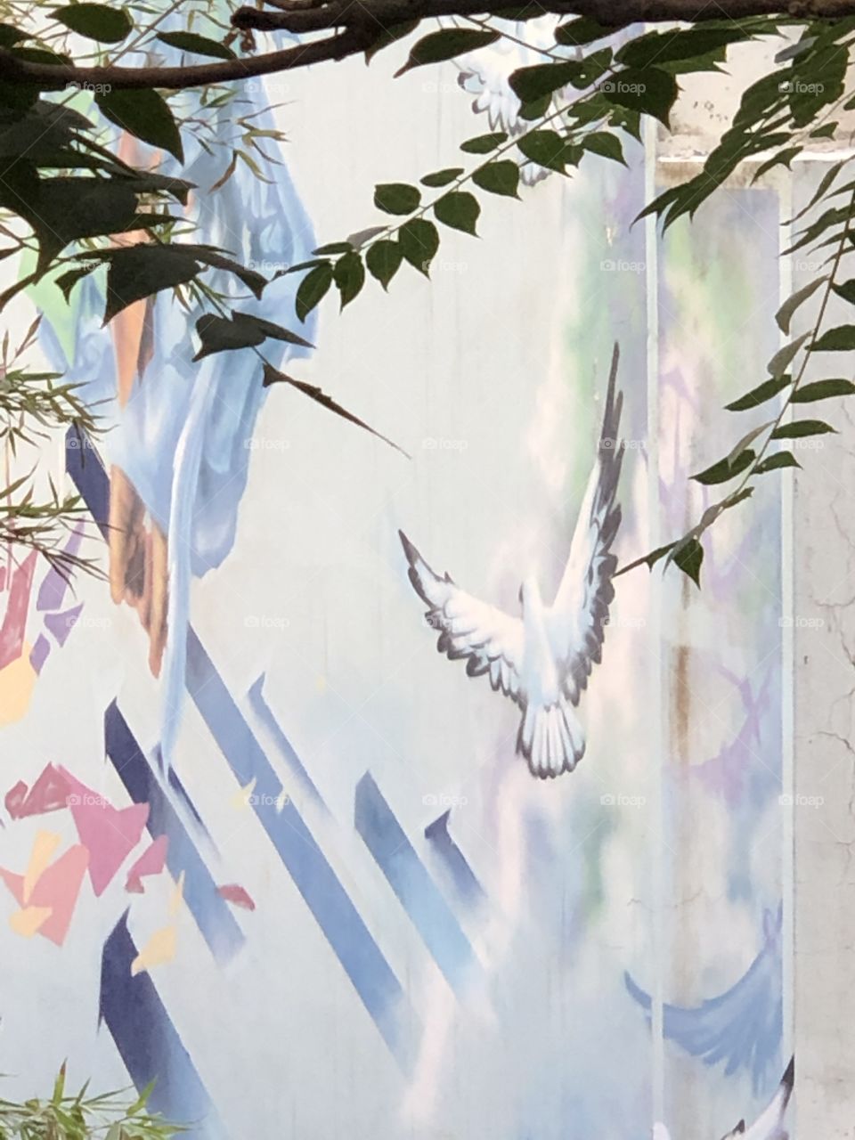 Soft pastel graffiti, Athens Greece