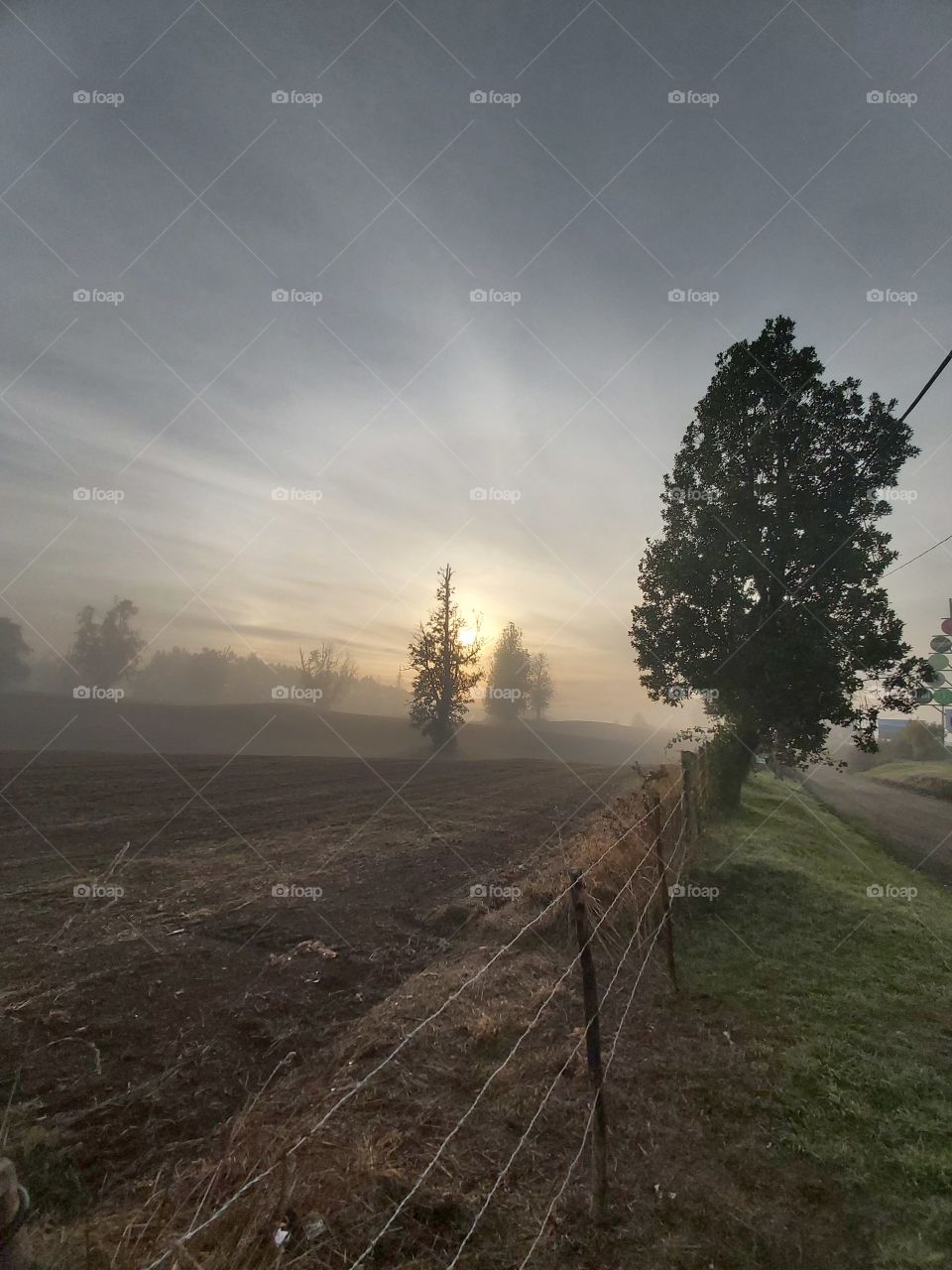 campo sureño de Chile