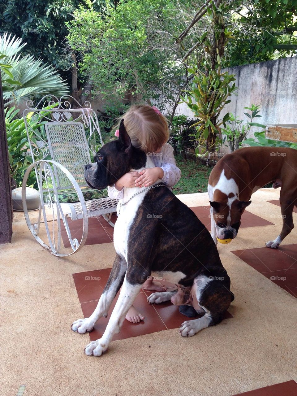 Little girl hugging a boxer dog