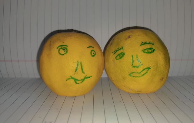 Fruit Lovers