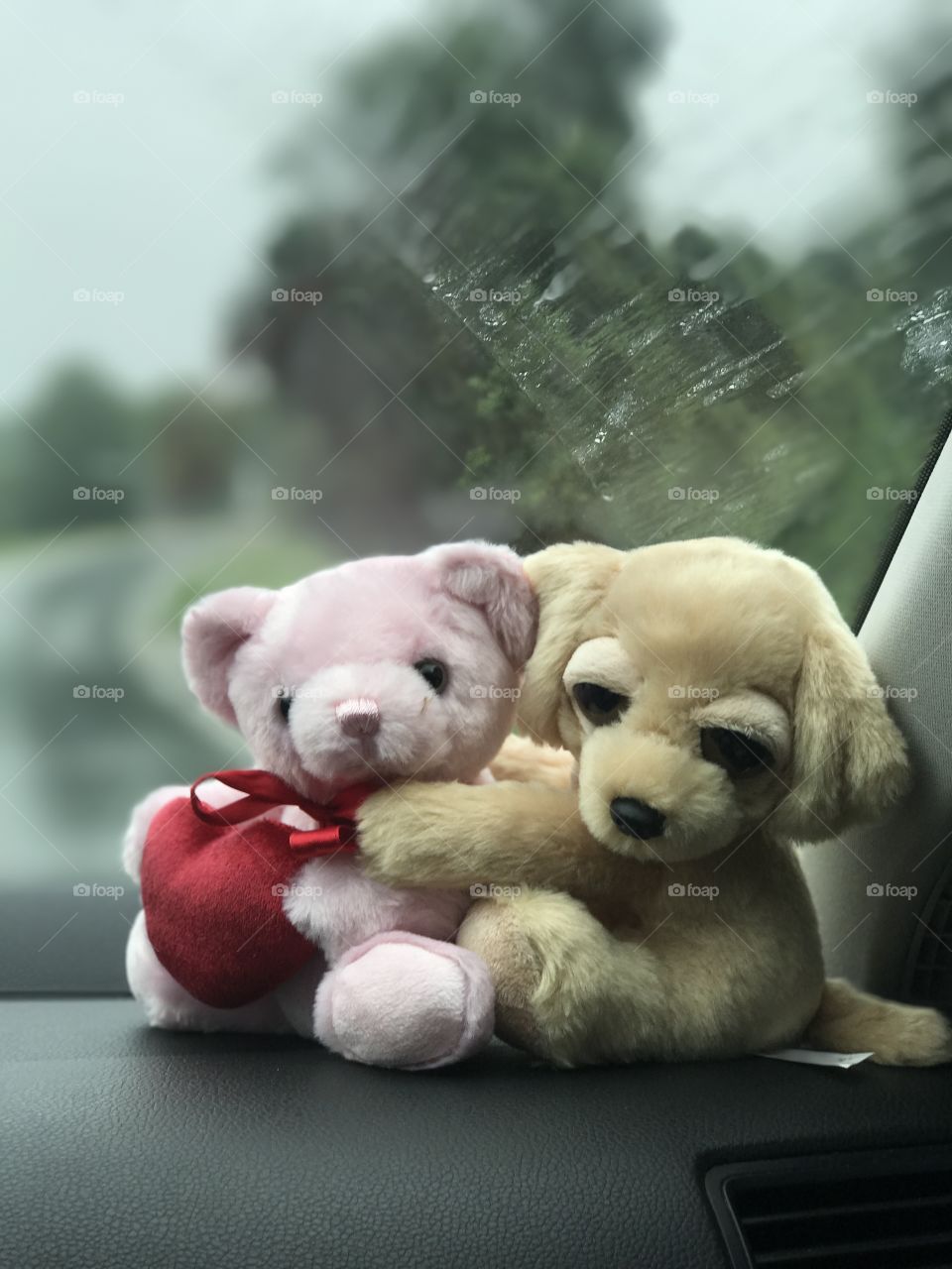 Teddy bears Hugging on a car dashboard 