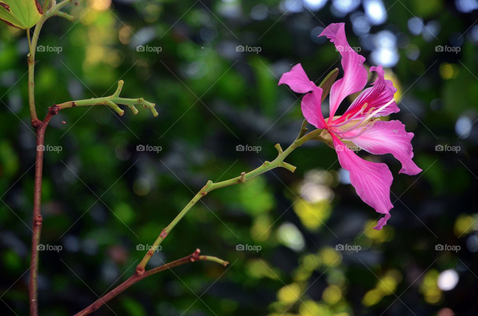 waiting for my butter fly