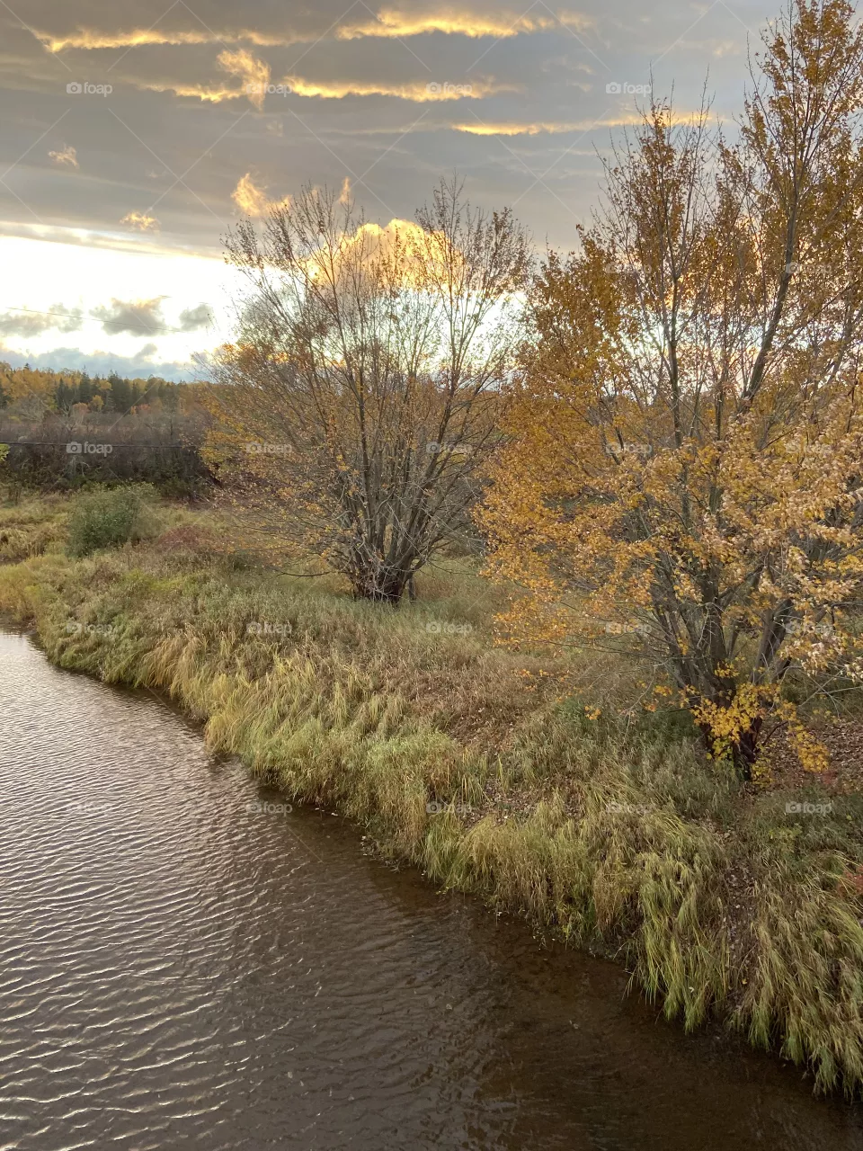 Little creek