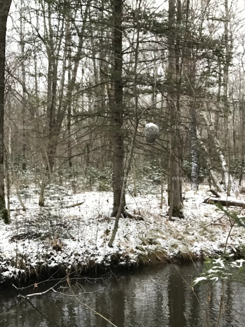 Winter 