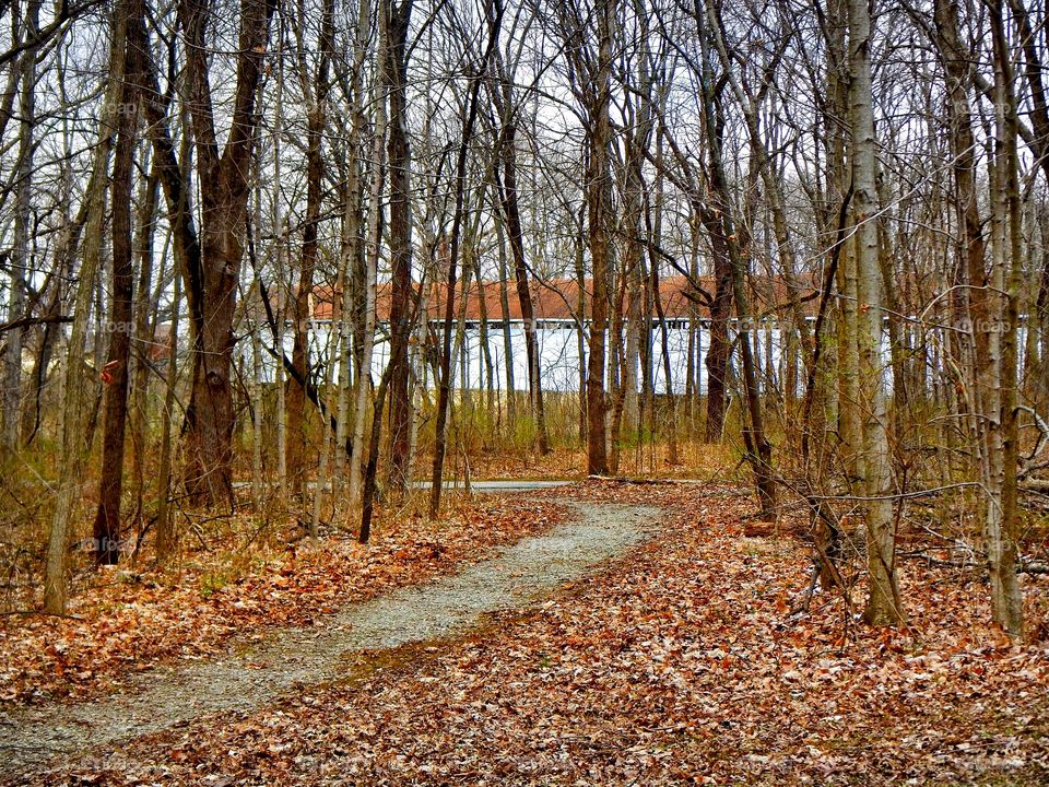 Covered bridge thru the trees
