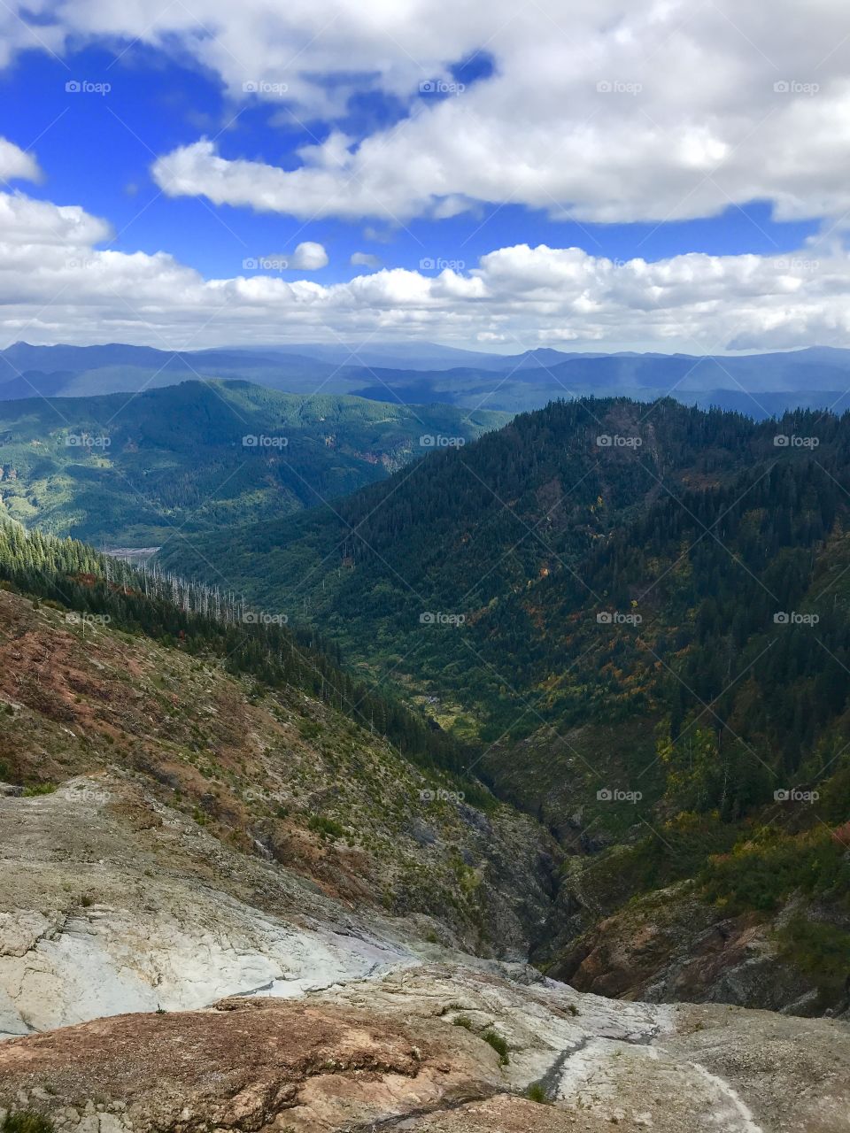 View from Mt. St. Helens 