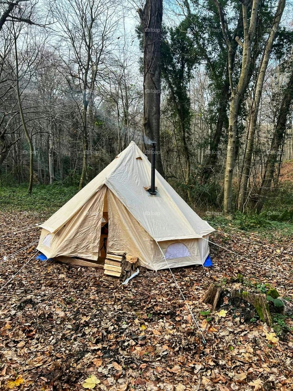 A trip in the woods, a tent for the night in nature