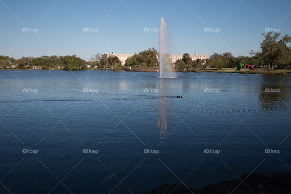 Fountain 