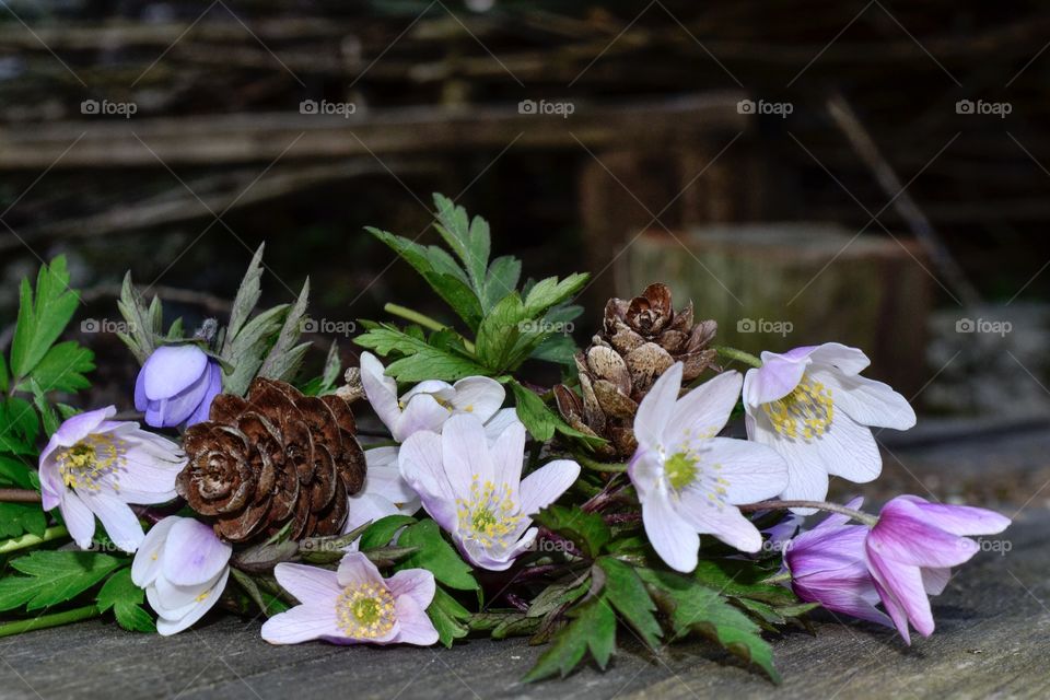 Flower crown 