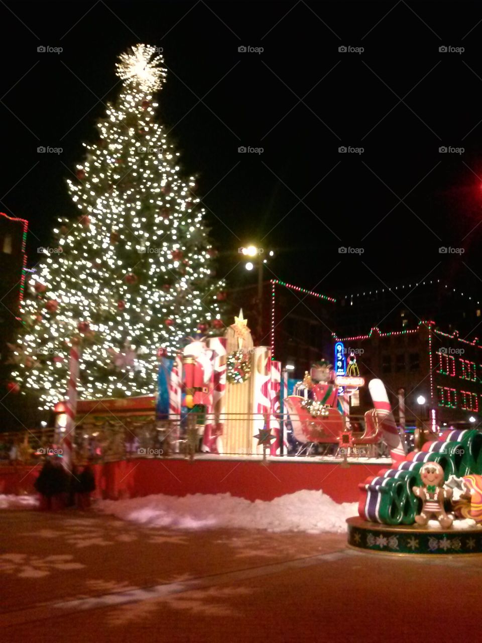 Christmas Tree, Christmas, Celebration, Festival, People