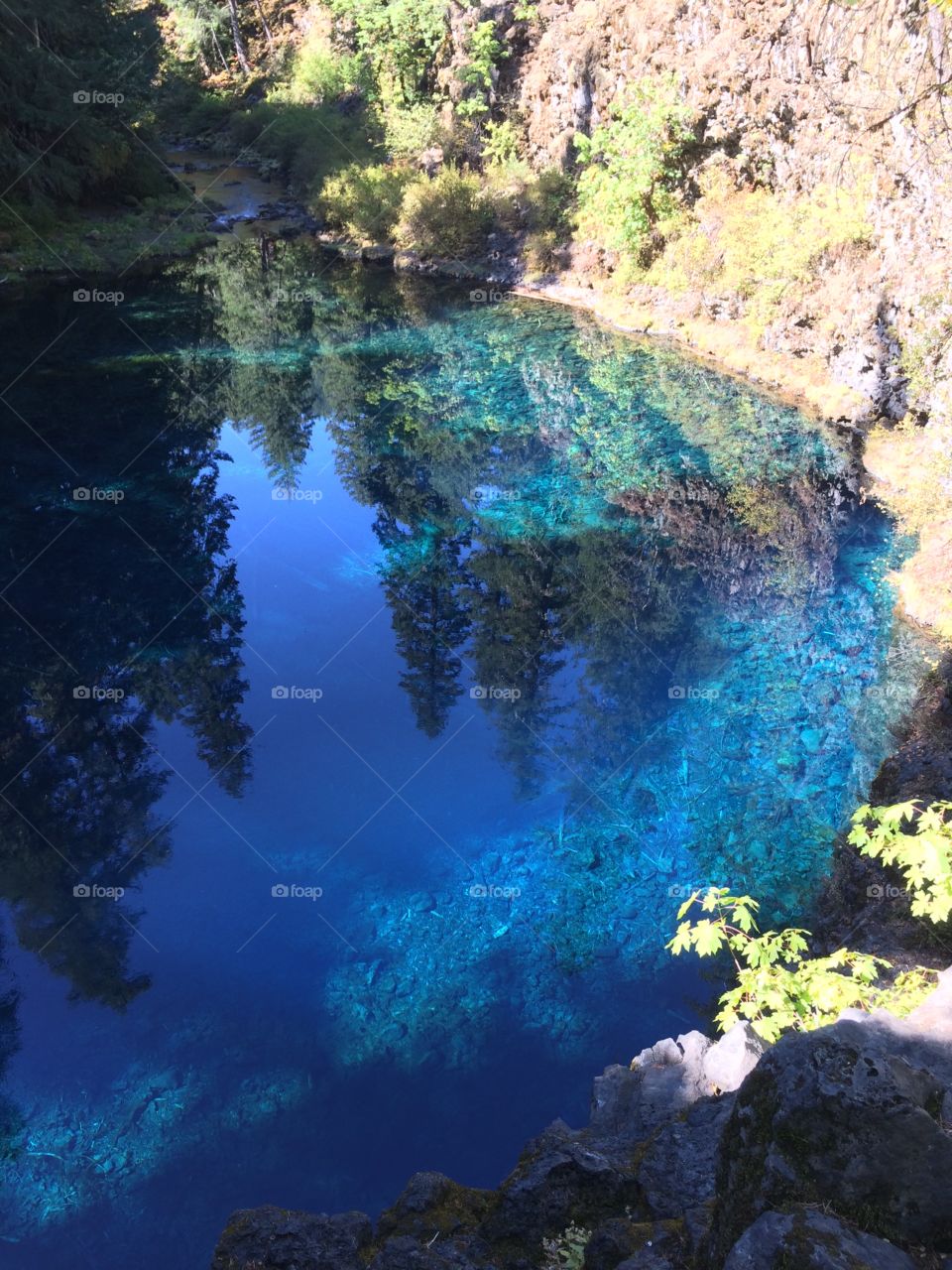 blue Pool. Today's hike on the Mckenzie river
