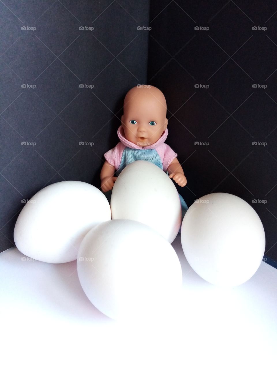 Wir sind alle aus Ei gekommen