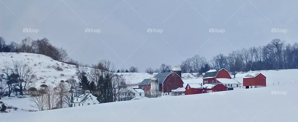 Farm Fun