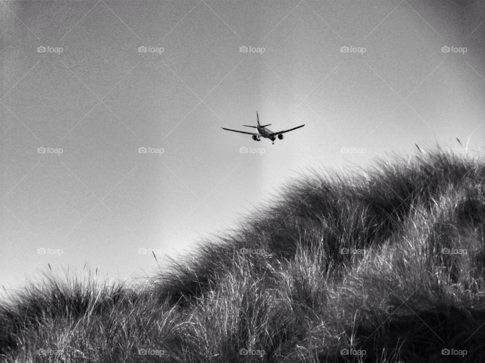 sky grass flying plane by Raid1968