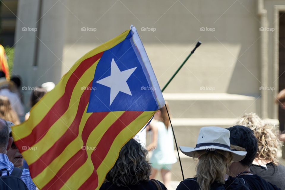 Hats and Flags