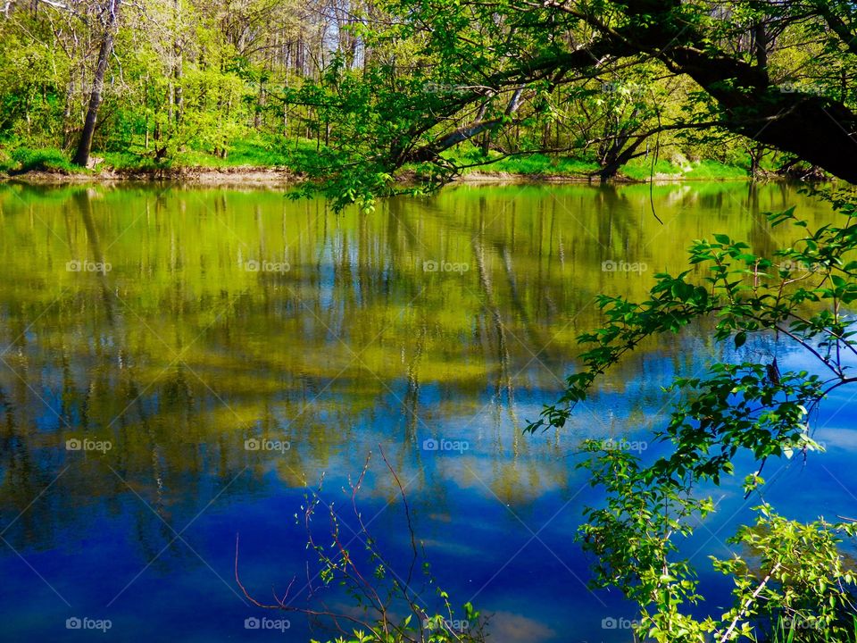 Spring on the white river
