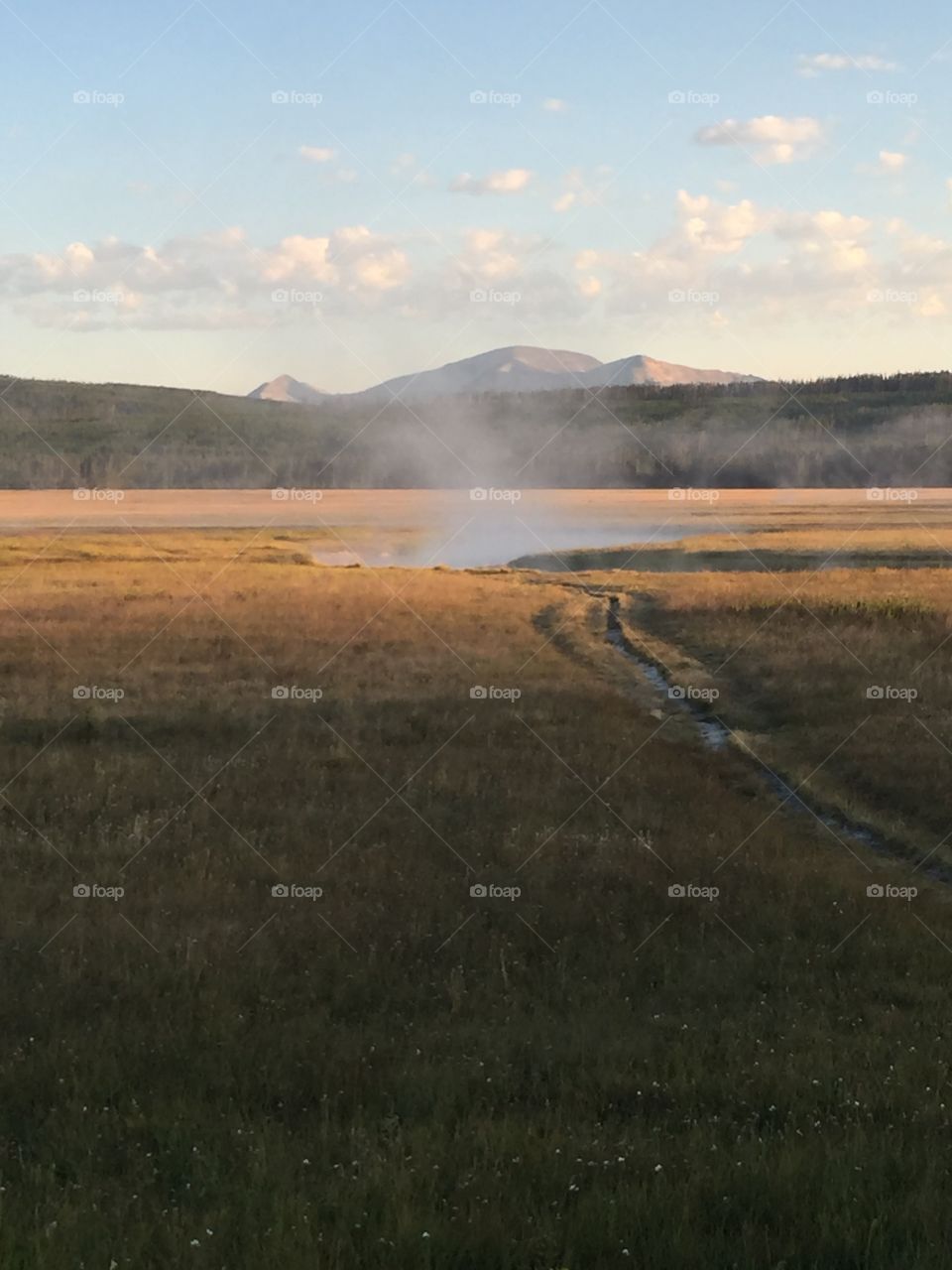 Yellowstone at dawn 