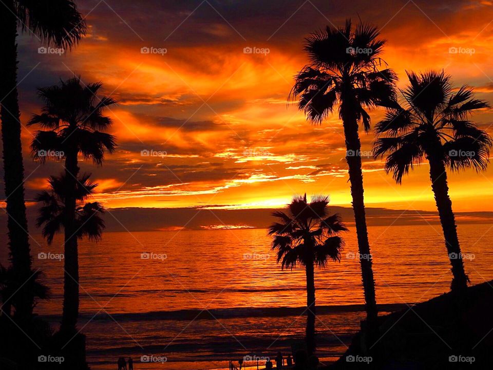 California Sunset