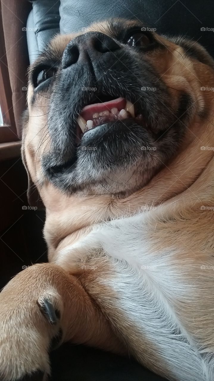 hanging with my peeps