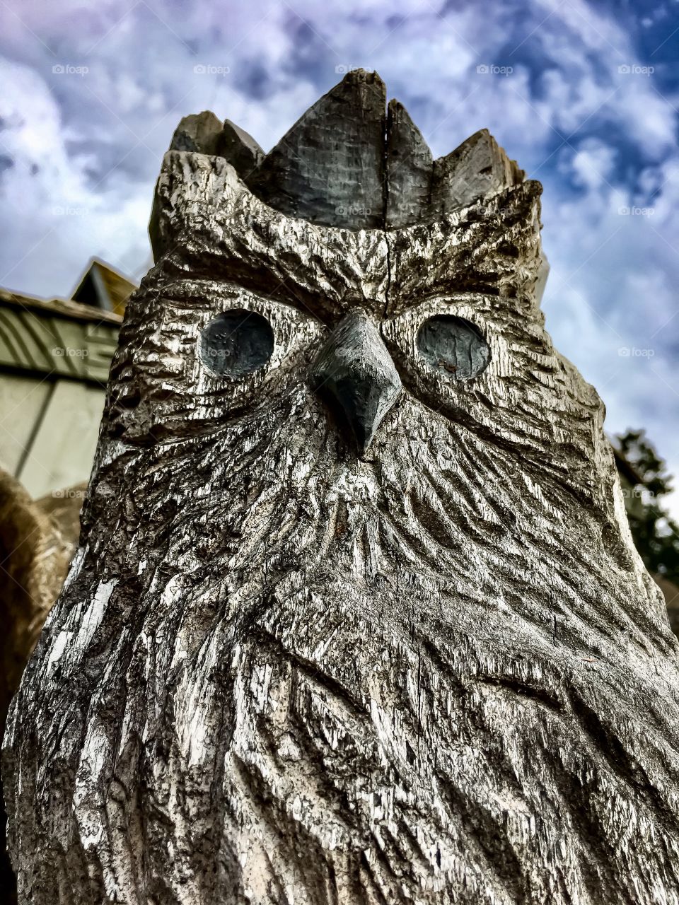 Stoic Owl of Wood 