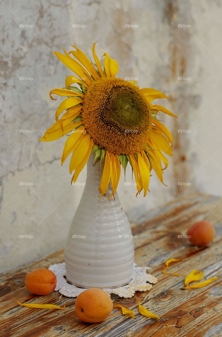 Still life vase with sunflowers and apricots.

￼