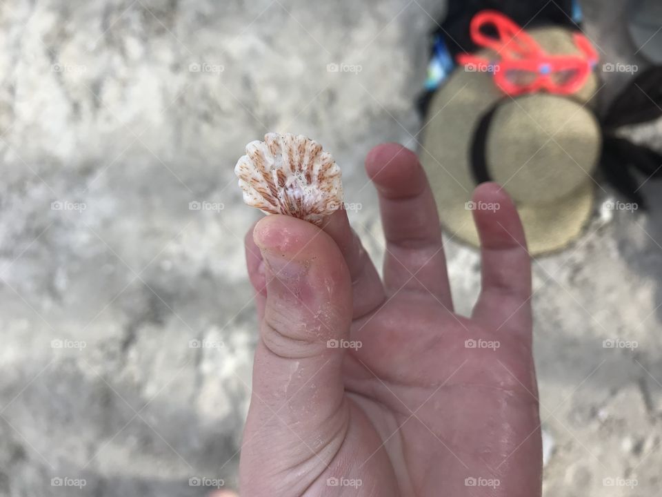 Gorgeous photos from Royal Caribbean cruise ship Oasis of the Seas cruising along!