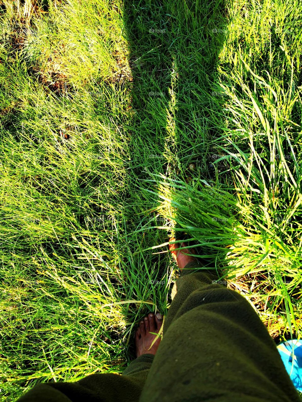 The power of earthing