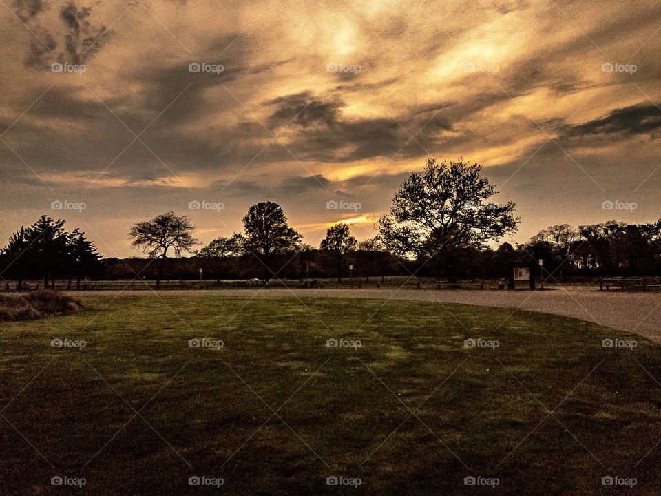 New York, Long Island, Kings Park, Sunken Meadow State Park, sand, water, beach, clouds, nature, wind, waves, calm, relaxation, peaceful, sunset, summer, panoramic view, warm, golden hour, trees, colors,