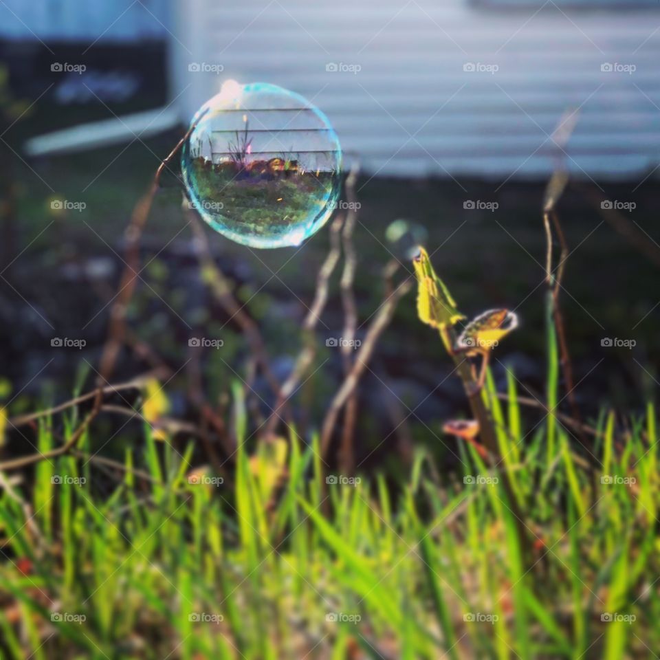 Reflection in a bubble