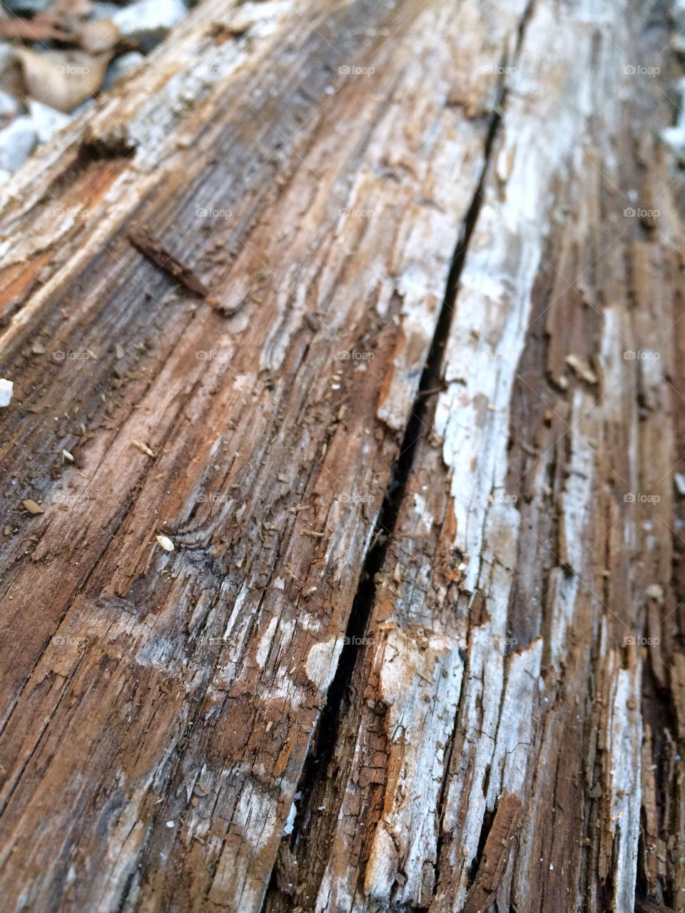 Aged wood 