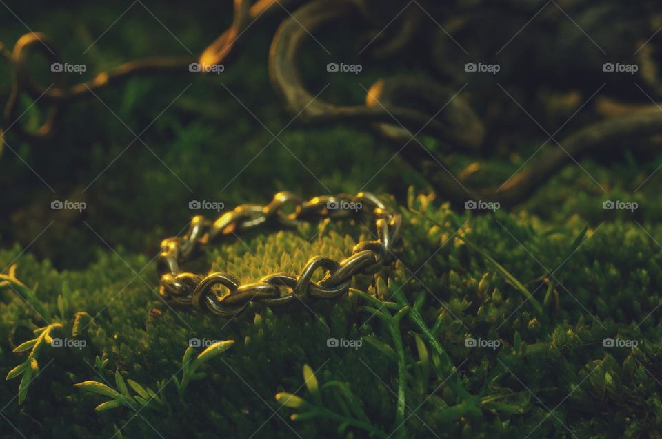 a beautiful wicker ring made of white metal lies on the grass in the forest in the dark next to twisted roots and branches. the ring is illuminated by a rare ray of the sun. enchanted elven ring.