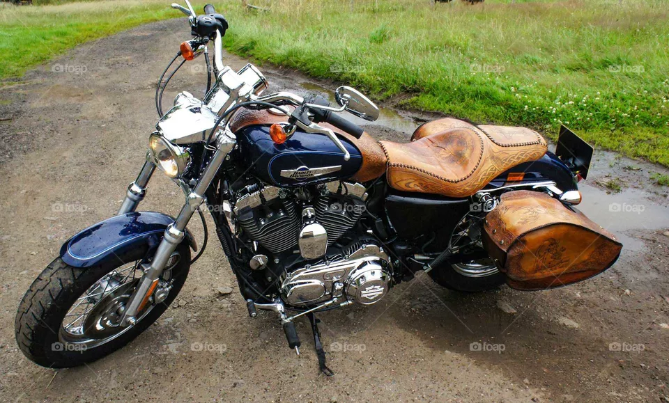 Harley