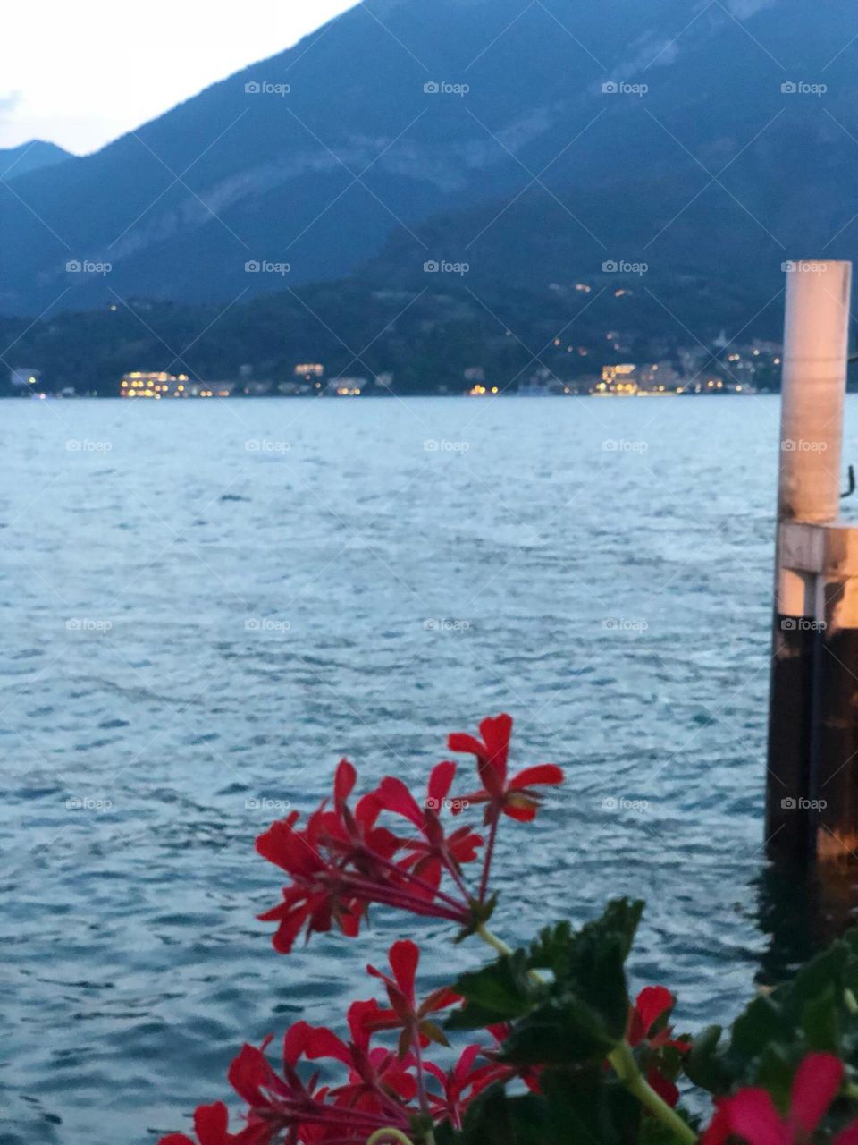 Flowers by Lezzeno pier, Italy