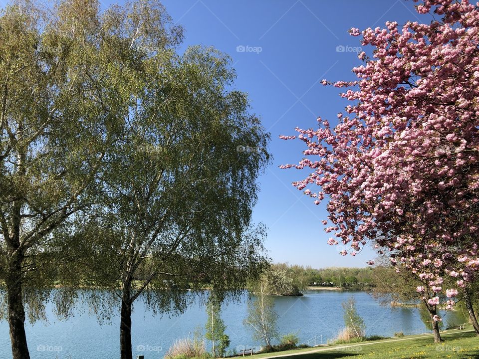 Summer Feeling in Austria 