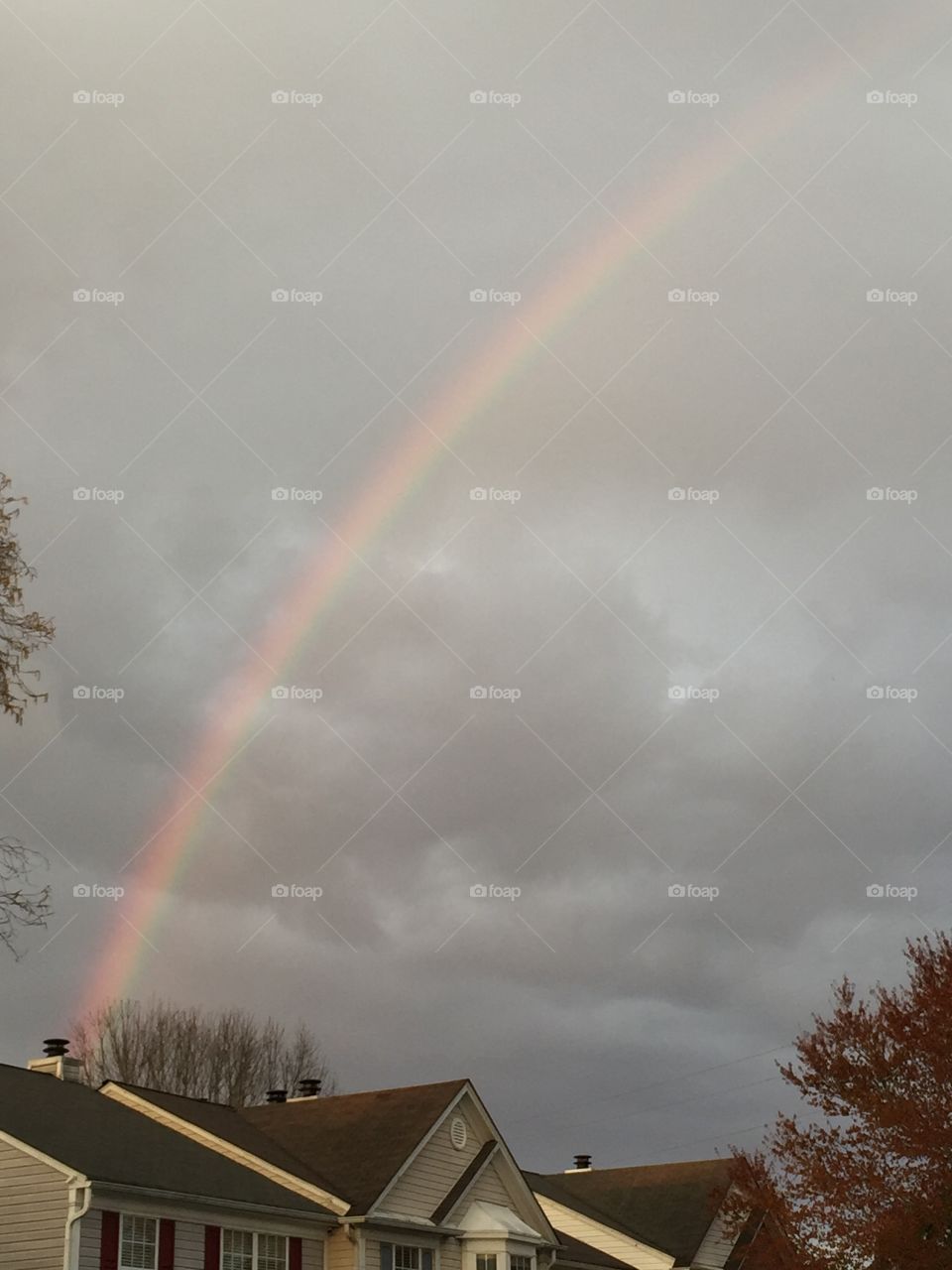 Rainbow on a Cloudy Day 🌈