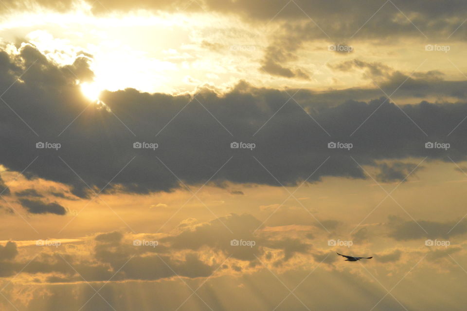 sunset and sea