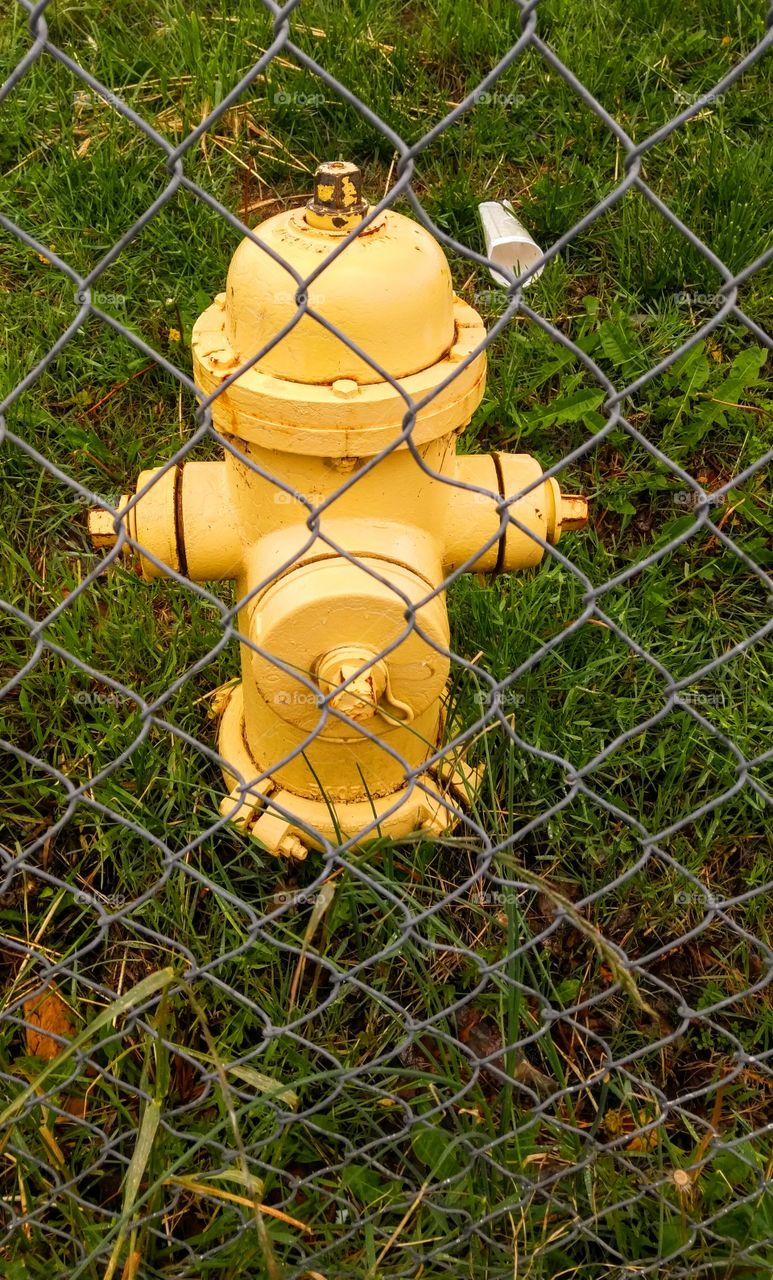 yellow fire hydrant behind chainlink fence